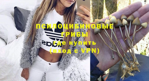 мяу мяу мука Переславль-Залесский
