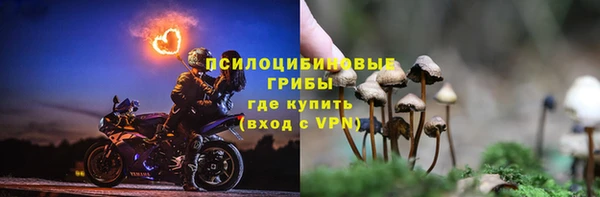гидра Заводоуковск