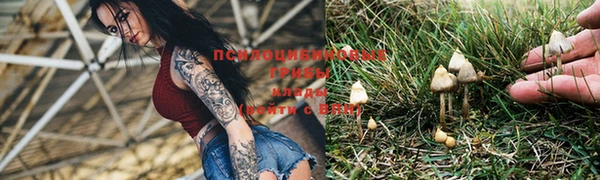 а пвп мука Покров