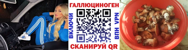 Псилоцибиновые грибы прущие грибы  где купить   Рудня 